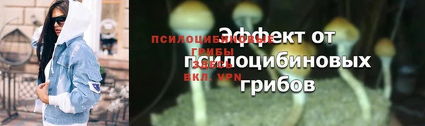 MESCALINE Богданович