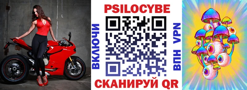 OMG как зайти  Горнозаводск  Псилоцибиновые грибы Psilocybine cubensis  сколько стоит 